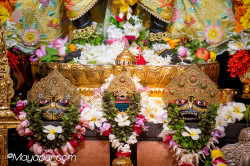 Daily Darshan