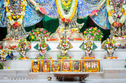 rani4ecstecy@gmail.com