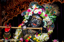 rani4ecstecy@gmail.com