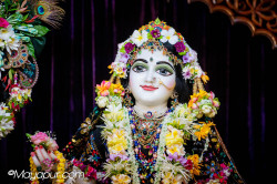 rani4ecstecy@gmail.com