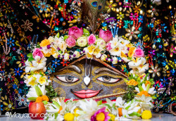 rani4ecstecy@gmail.com