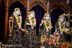 rani4ecstecy@gmail.com