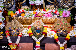 rani4ecstecy@gmail.com