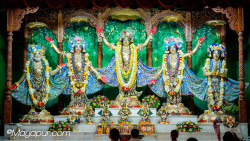 rani4ecstecy@gmail.com