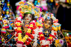 rani4ecstecy@gmail.com