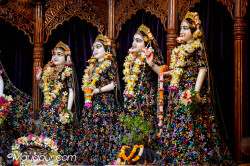 rani4ecstecy@gmail.com