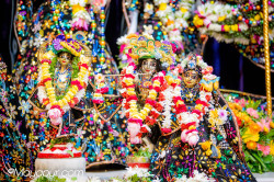 rani4ecstecy@gmail.com