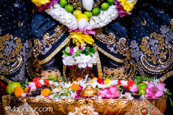 rani4ecstecy@gmail.com