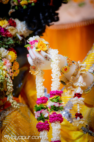 Daily Darshan