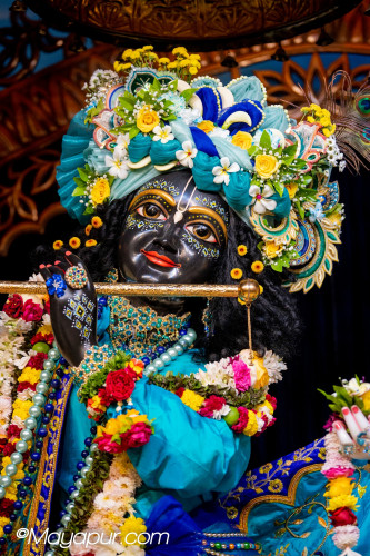 Daily Darshan