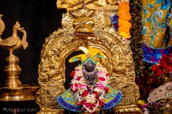 Daily Darshan
