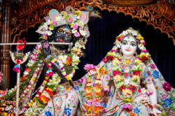 Daily Darshan