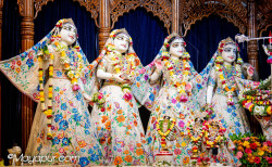 Daily Darshan