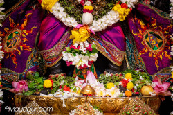 Daily Darshan