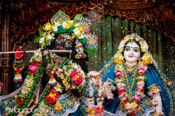 Daily Darshan