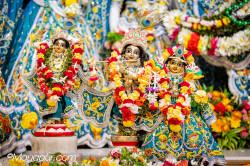 Daily Darshan