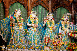 Daily Darshan