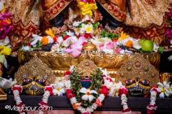 Daily Darshan