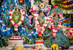 Daily Darshan
