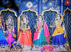 Daily Darshan