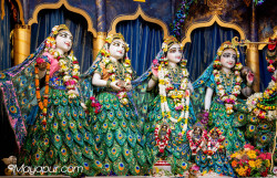 Daily Darshan