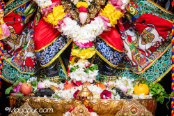 Daily Darshan