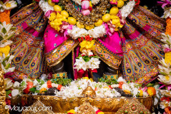 Daily Darshan
