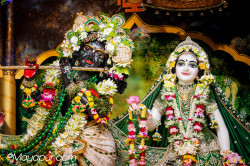 Daily Darshan