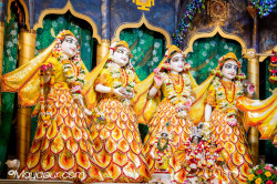 Daily Darshan