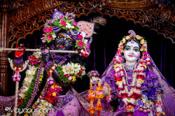 Daily Darshan
