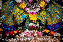 Daily Darshan