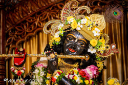 Daily Darshan
