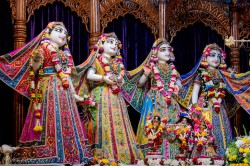 Daily Darshan