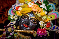 Daily Darshan