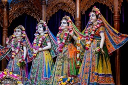Daily Darshan