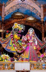 Daily Darshan