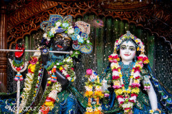 Daily Darshan