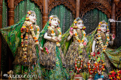 Daily Darshan
