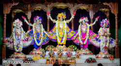 Daily Darshan