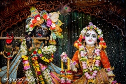 Daily Darshan