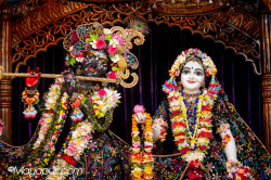 Daily Darshan