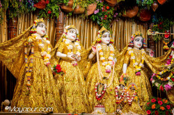 Daily Darshan