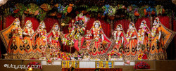 Daily Darshan