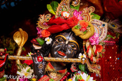 Daily Darshan