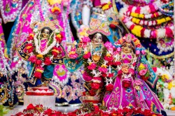 Daily Darshan