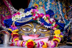 Daily Darshan