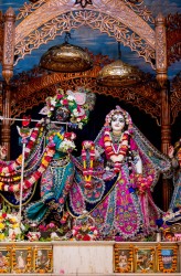 Daily Darshan
