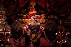 Daily Darshan