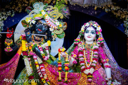 Daily Darshan
