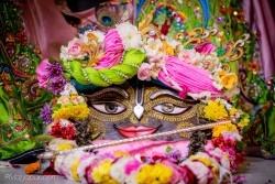 Daily Darshan